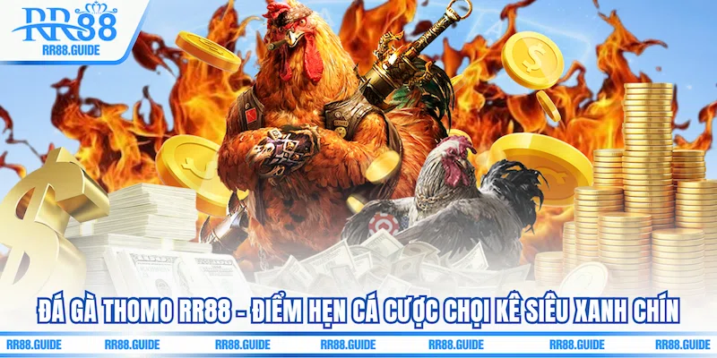 Đá Gà Thomo